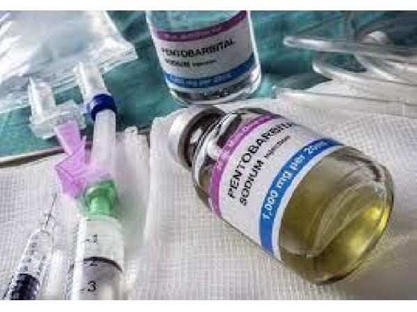 Gdzie Kupić Nembutal Pentobarbital Sodu Na Eutanazję Dawka Samobójcza Nembutalu 2